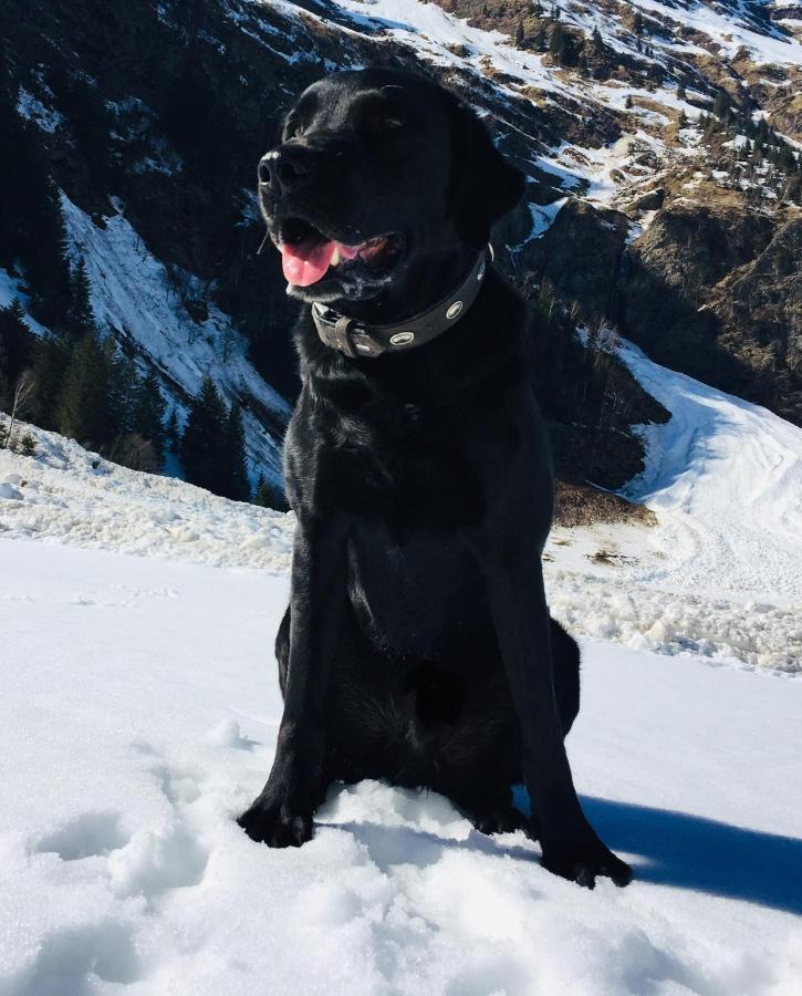 Ferienwohnung Wildkogelblick Bramberg am Wildkogel Bagian luar foto