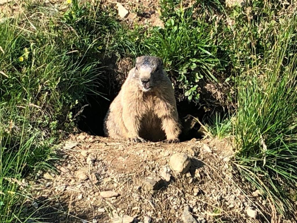 Ferienwohnung Wildkogelblick Bramberg am Wildkogel Bagian luar foto
